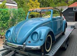 Volkswagen Coccinelle ovale