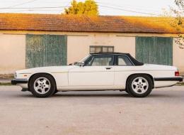 Jaguar XJS - C