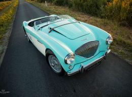 Austin Healey 100 M Le Mans