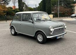 Mini 1300 Rover