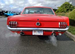 Ford Mustang V8 Coupé Options GT