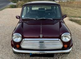 Mini 1000