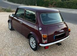 Mini 1000