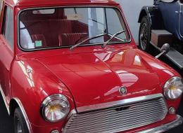Mini 1000 Woody 1000 SW