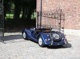 Morgan +8