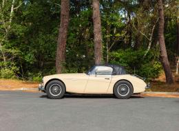 Austin Healey 3000 Mk III BJ8     