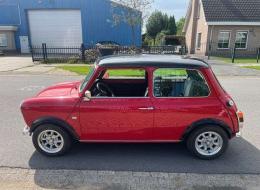 Mini 1000 Austin