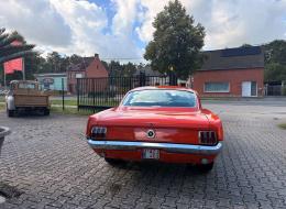 Ford Mustang V8 Fastback