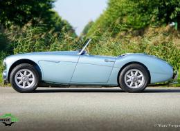 Austin Healey 3000 Mk1 + Hard-Top