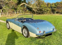 Austin Healey 100 - 6 BN4