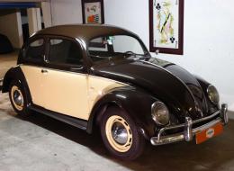 Volkswagen Coccinelle Splint Windows