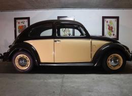 Volkswagen Coccinelle Splint Windows