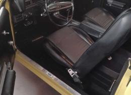 Ford Torino