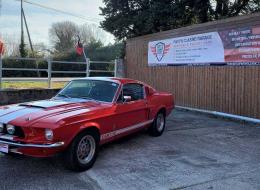 Ford Mustang FASTBACK SHELBY GT 350 TRIBUTE 