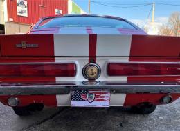 Ford Mustang FASTBACK SHELBY GT 350 TRIBUTE 
